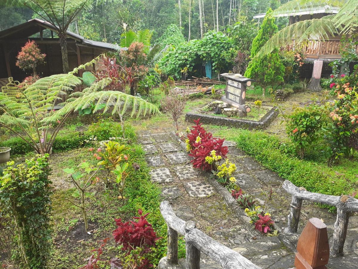 Ijen Miner Family Homestay Баньюванги Экстерьер фото